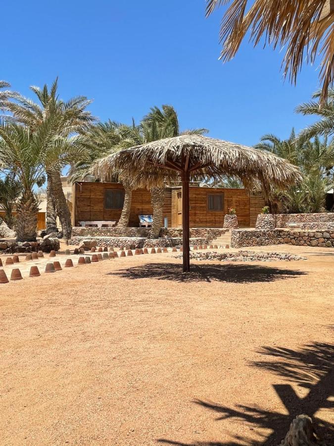 Dolphin Camp 호텔 다합 외부 사진